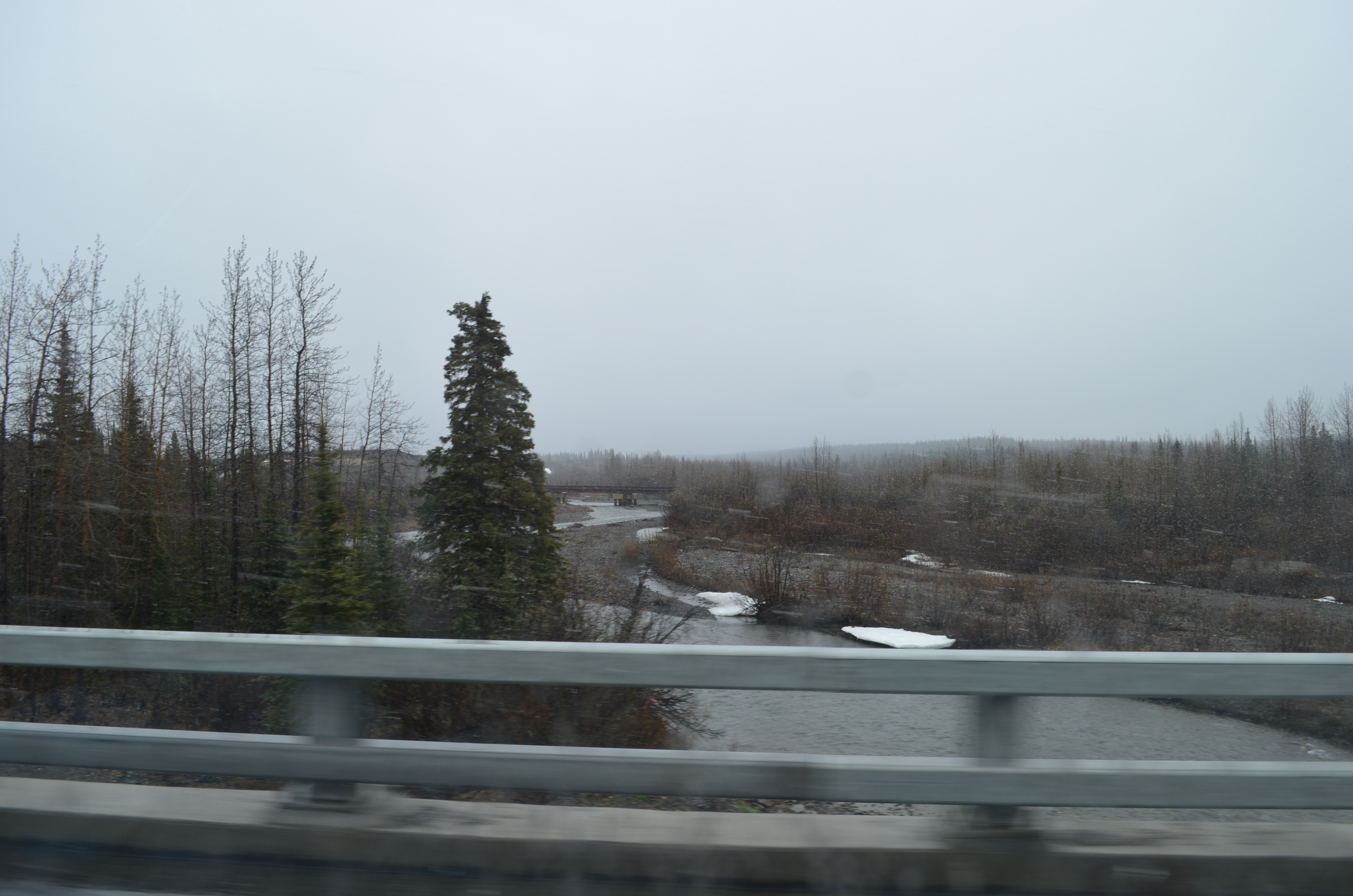 ./2017/08 - Alaska Cruise/03 - Denali/DSC_0088.JPG